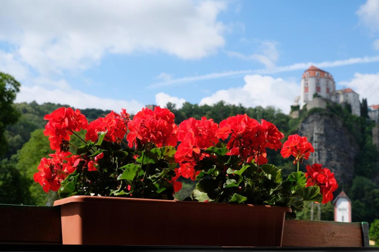 Pension Hamry Vranov nad Dyji Bagian luar foto