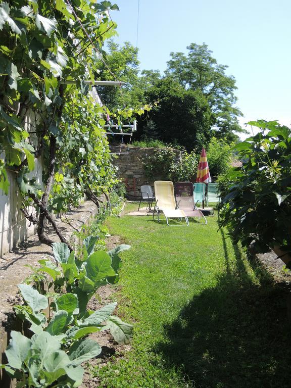 Pension Hamry Vranov nad Dyji Bagian luar foto